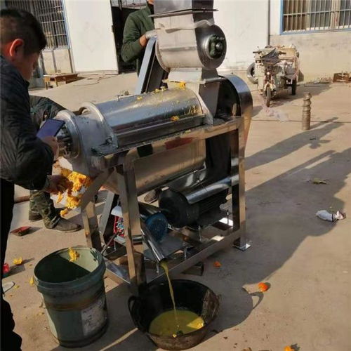 溫州工業(yè)果蔬榨汁機(jī) 創(chuàng)新定制生產(chǎn)與前沿生物感測(cè)器技術(shù)的融合